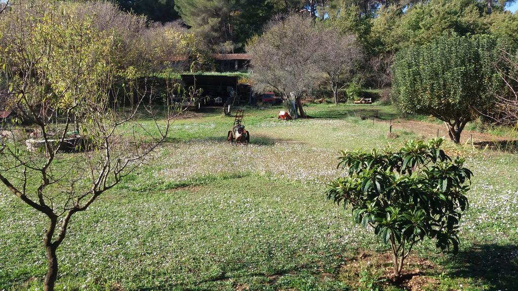 Le Mas Du Pin Vert Aubagne Bagian luar foto